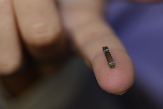 Tiny Implant Chip